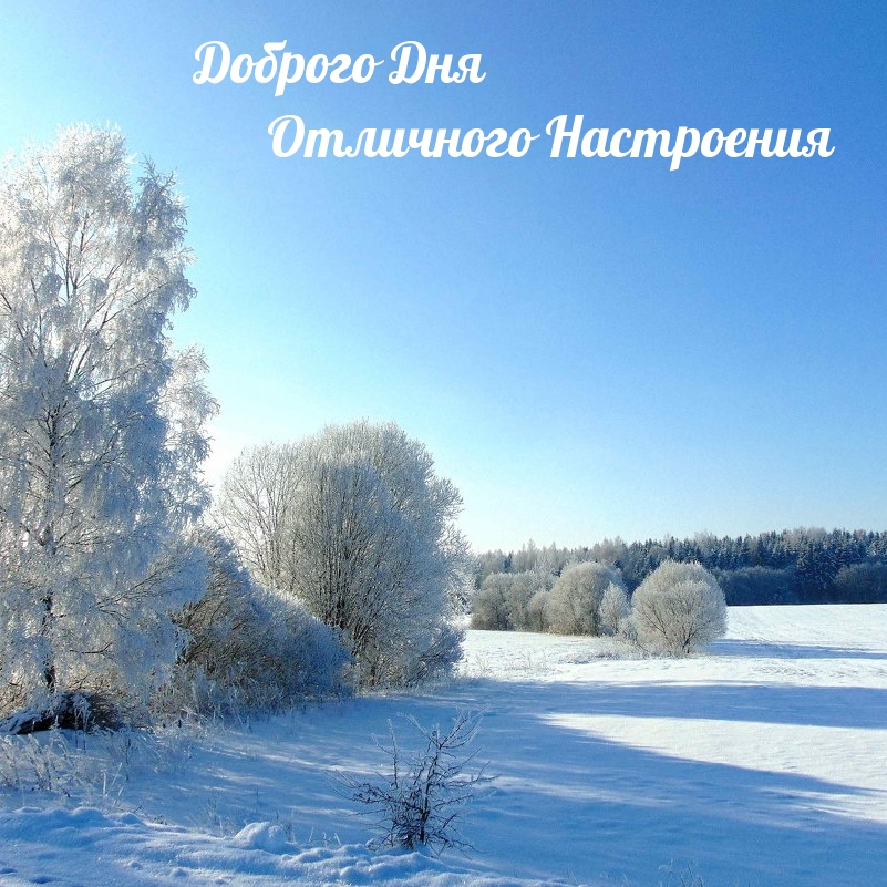 Доброго Дня Отличного Настроения