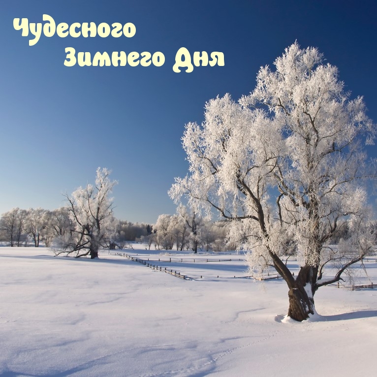 Чудесного Зимнего Дня