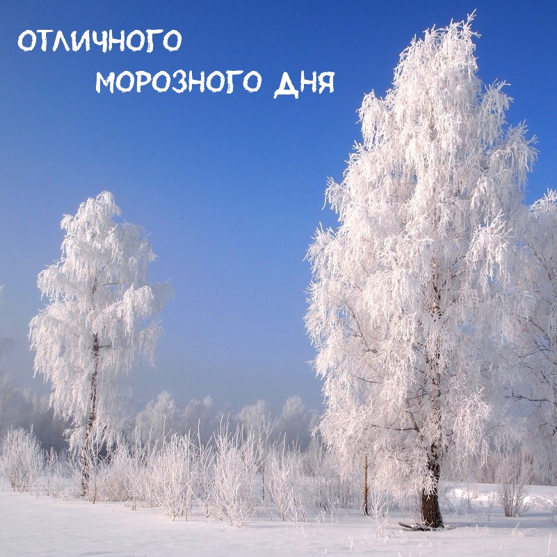 Отличного Морозного Дня