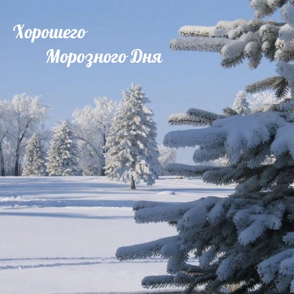 Хорошего Морозного Дня