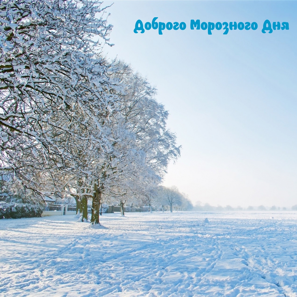 Доброго Морозного Дня