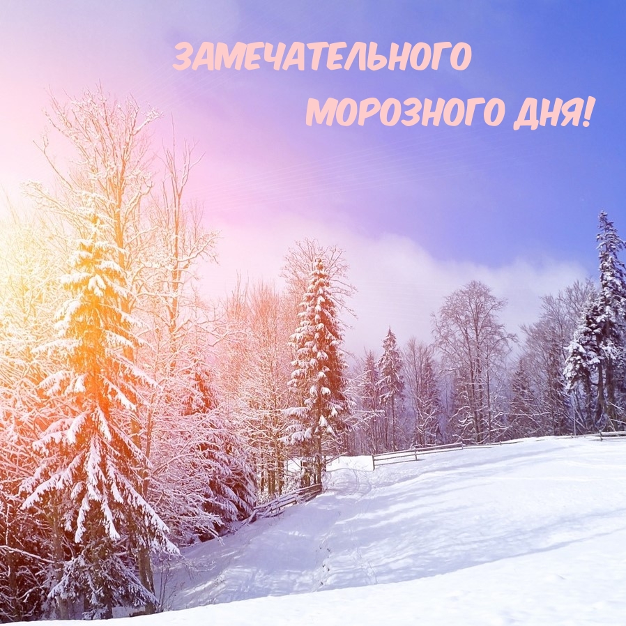 Замечательного Морозного Дня!