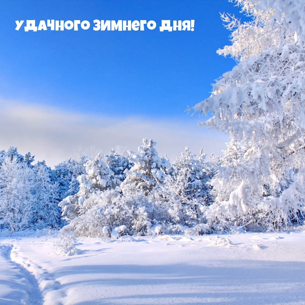Удачного Зимнего Дня!