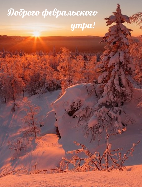 Доброго февральского утра!