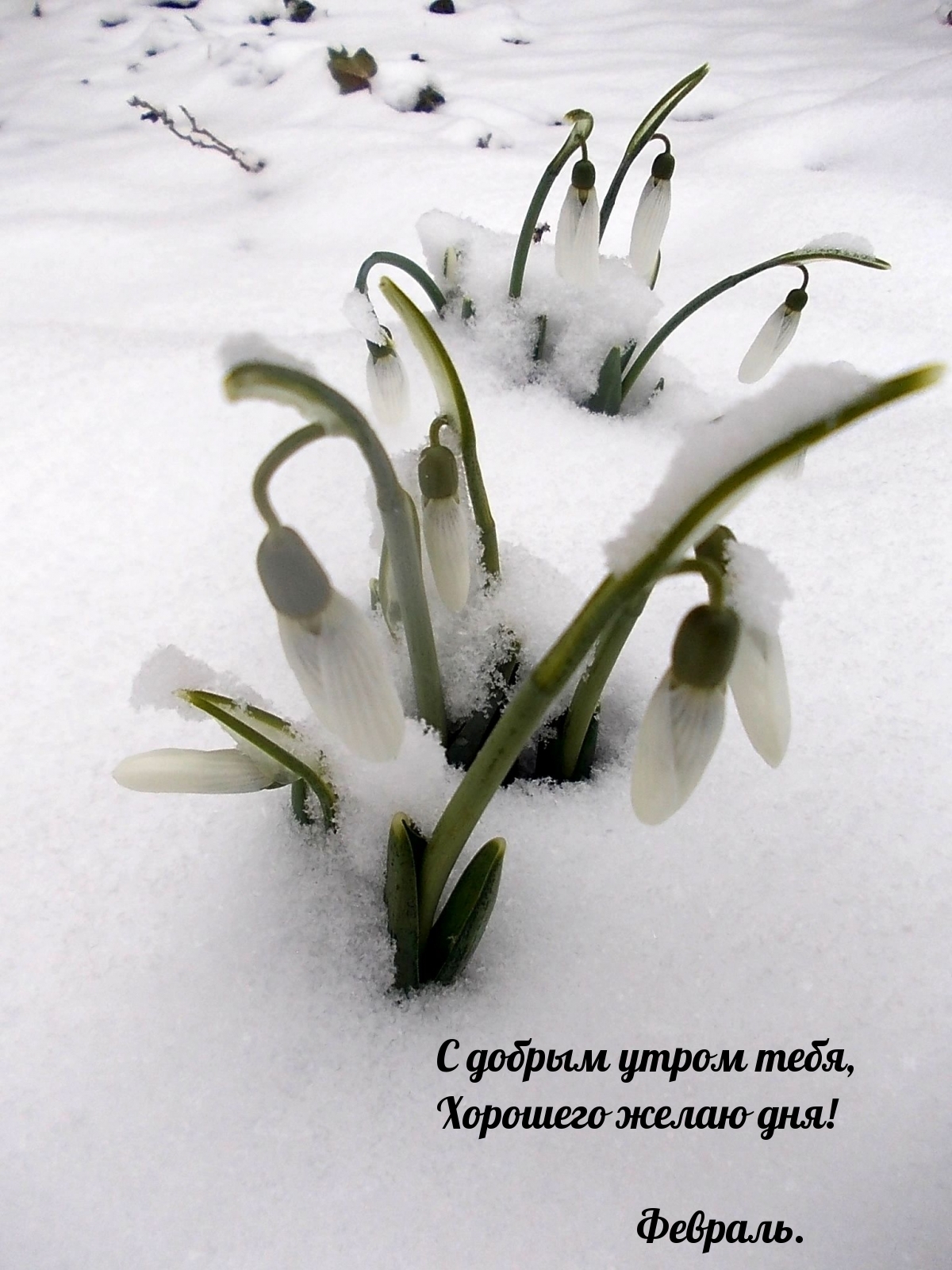 С добрым утром тебя! Февраль