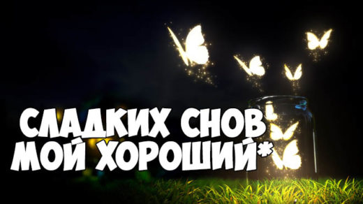 Сладких снов, мой хороший