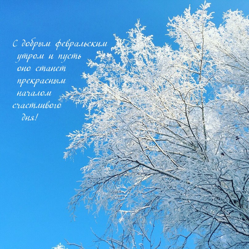 С добрым февральским утром! Оно станет прекрасным началом дня