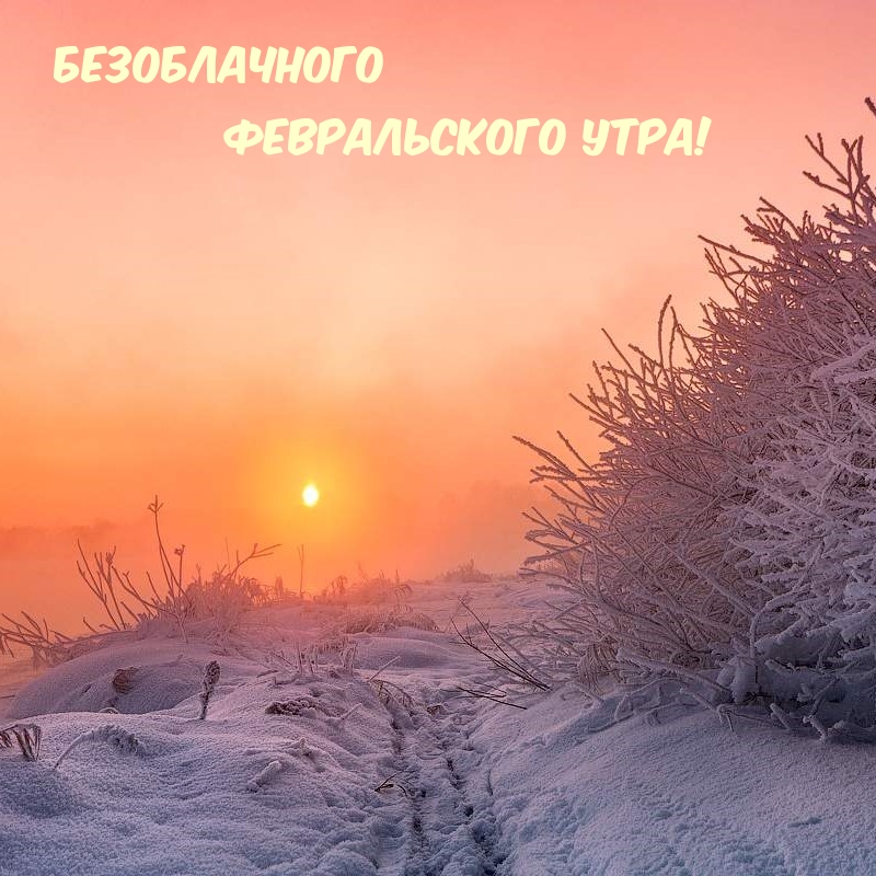 Безоблачного Февральского Утра!