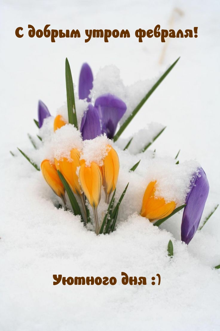 С добрым утром февраля! Уютного дня :)