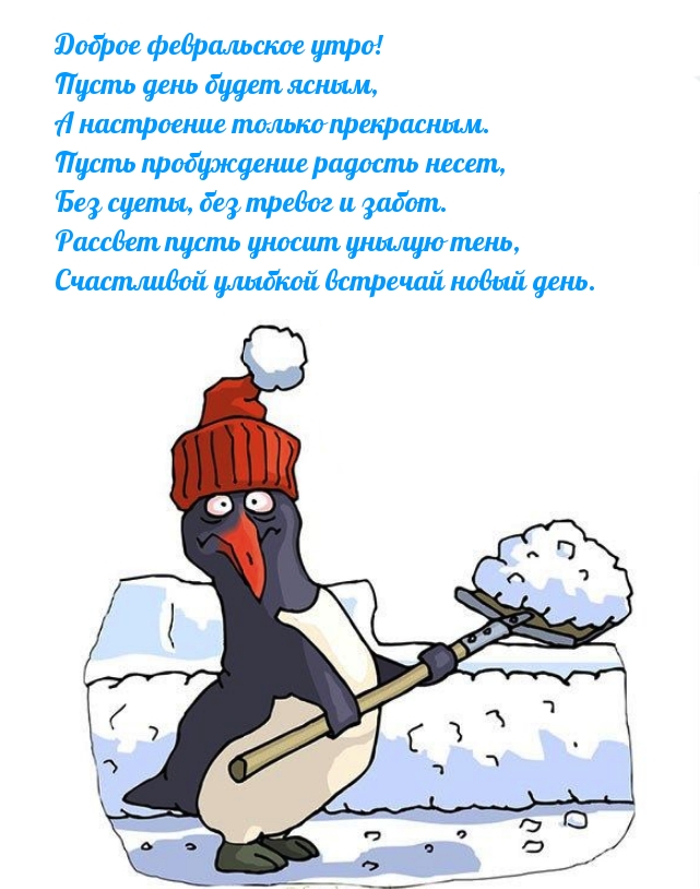Доброе февральское утро!  Пусть день будет ясным