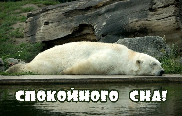 Спокойного сна!