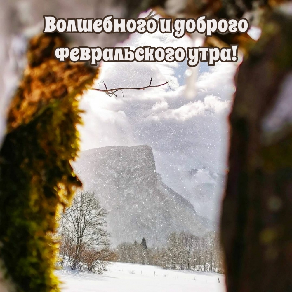 Волшебного и доброго февральского утра!