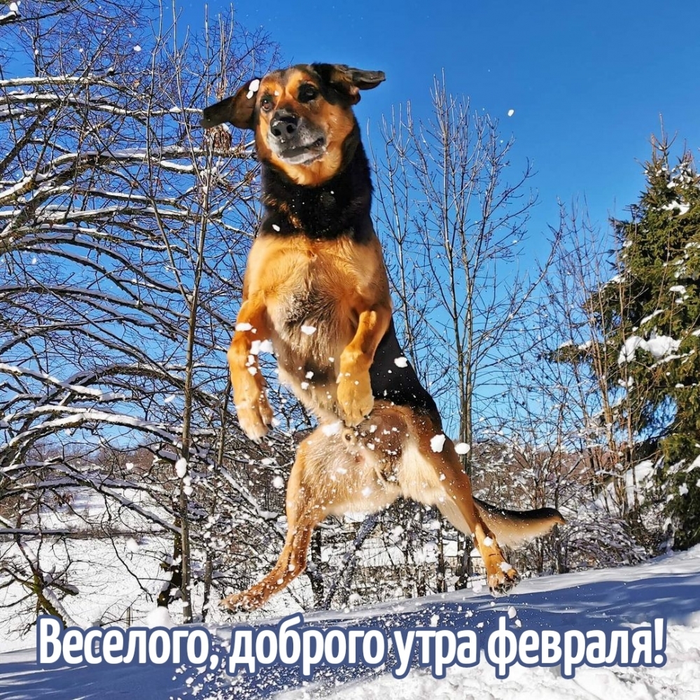 Веселого, доброго утра февраля!