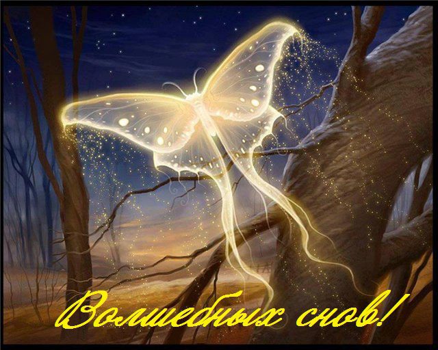 Волшебных снов!
