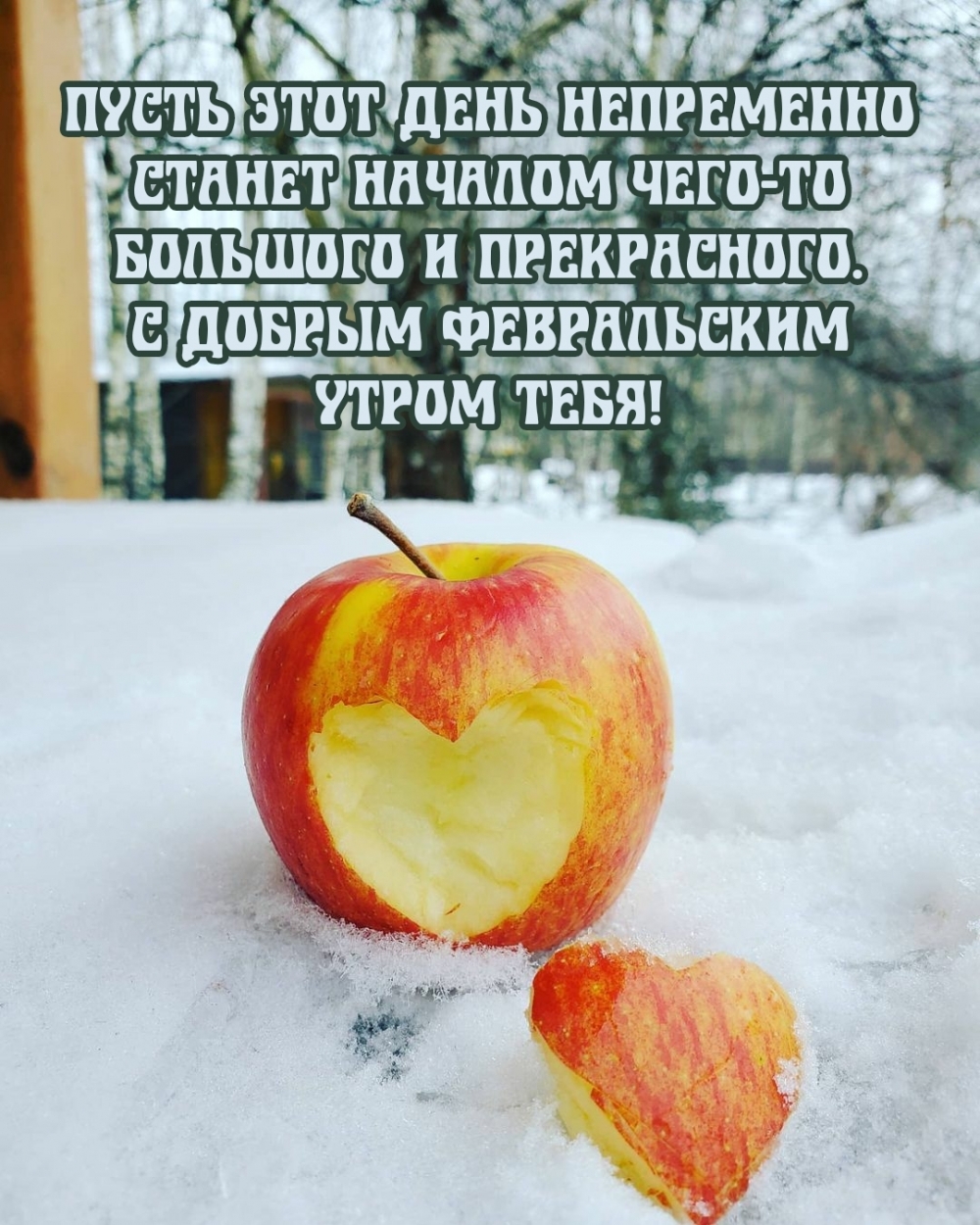 Пусть этот февральский день непременно станет началом чего-то большого и прекрасного
