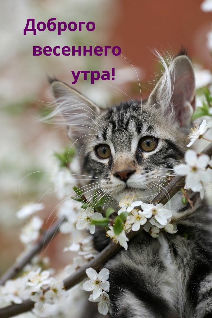 Доброго весеннего утра!