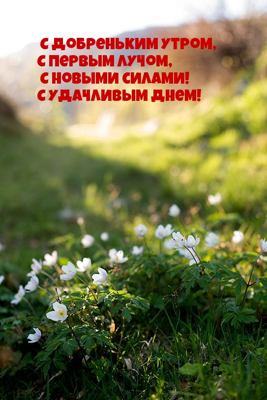 С добреньким утром, с первым лучом