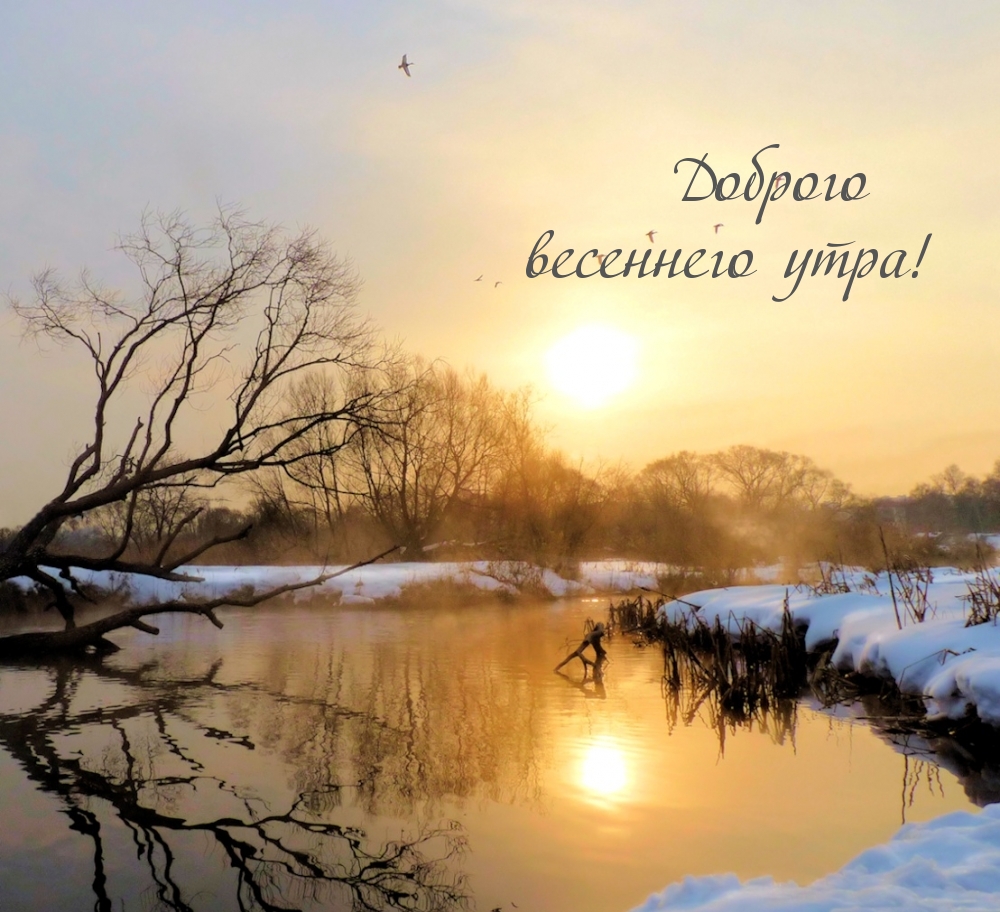 Доброго весеннего утра!