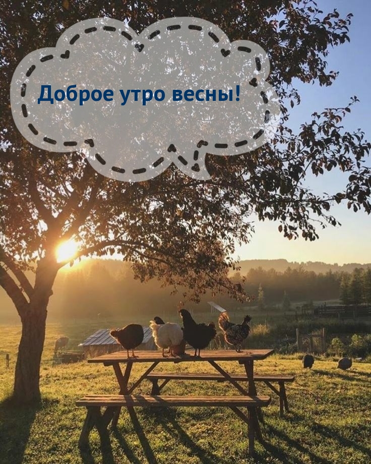 Доброе утро весны!
