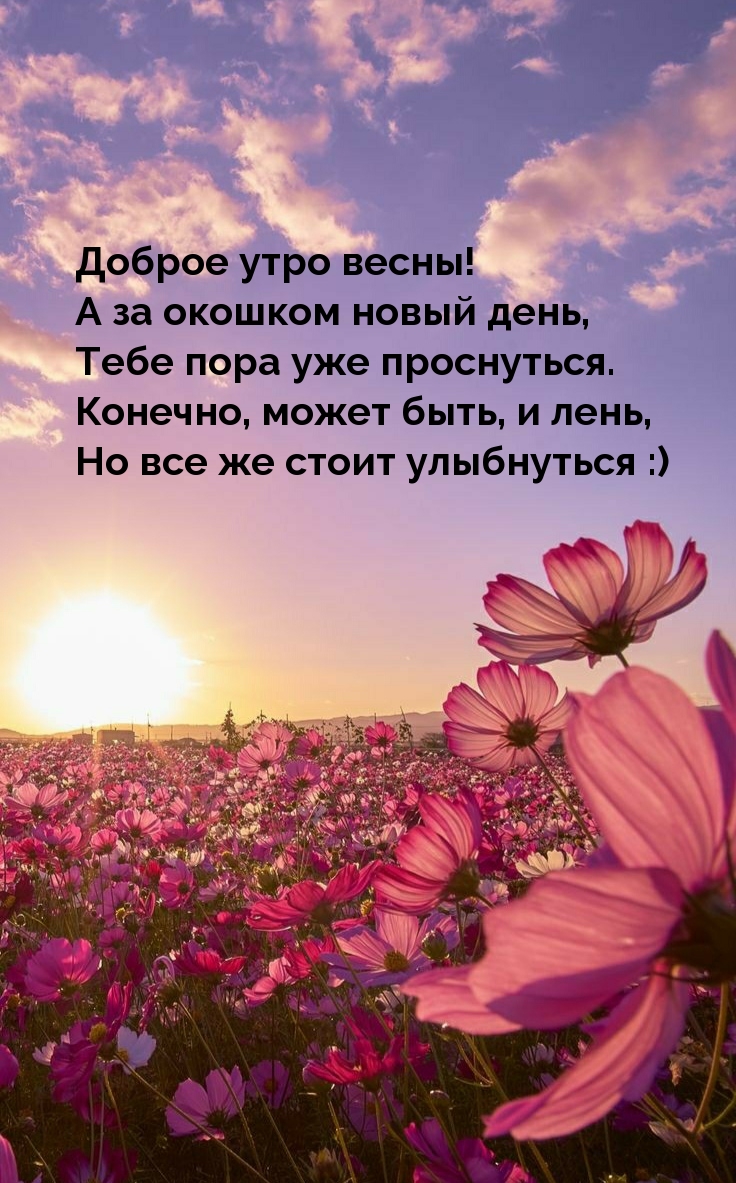 Доброе утро весны! А за окошком новый день