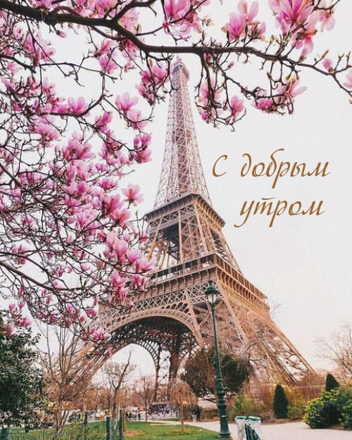 С добрым утром