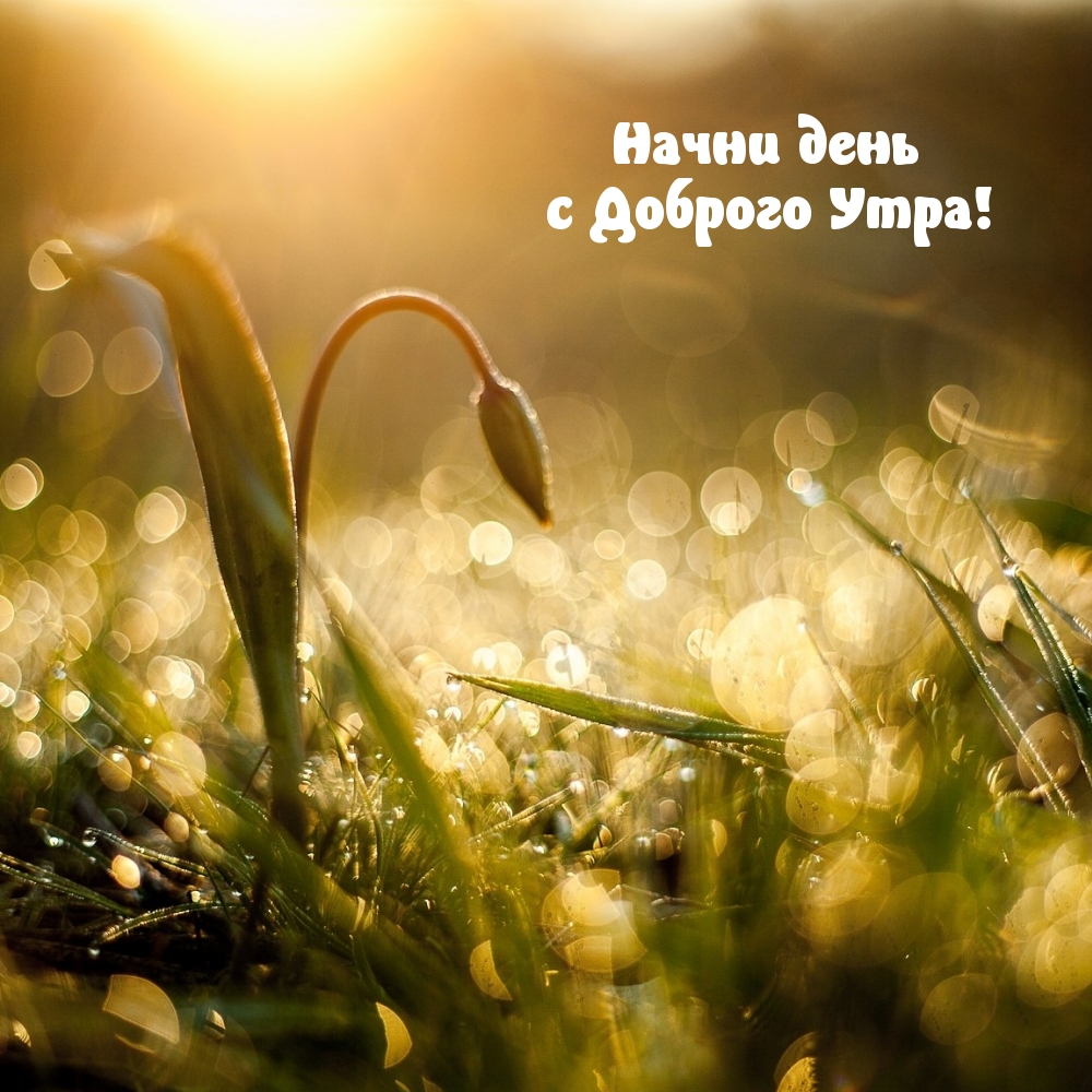 Начни день с Доброго Утра!