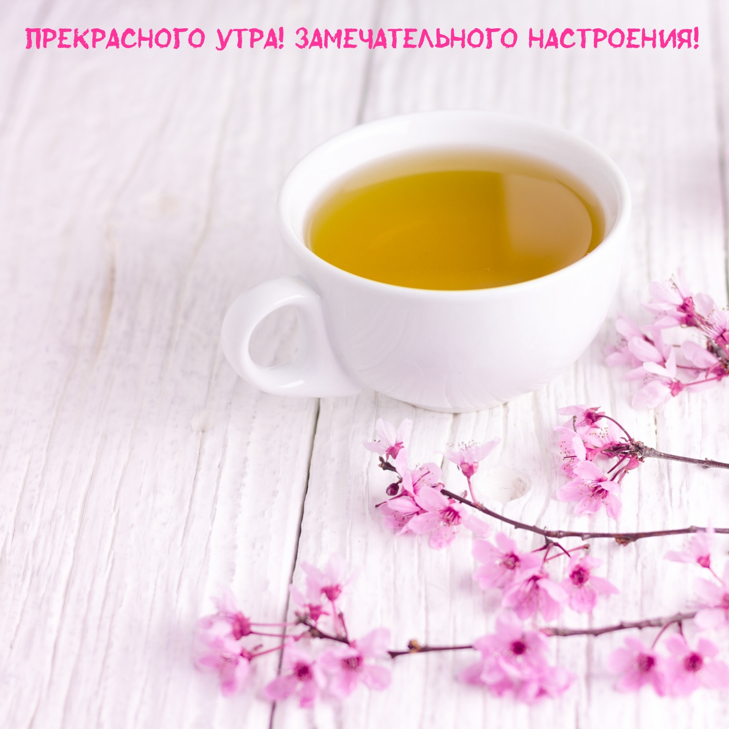 Прекрасного утра! Замечательного настроения!