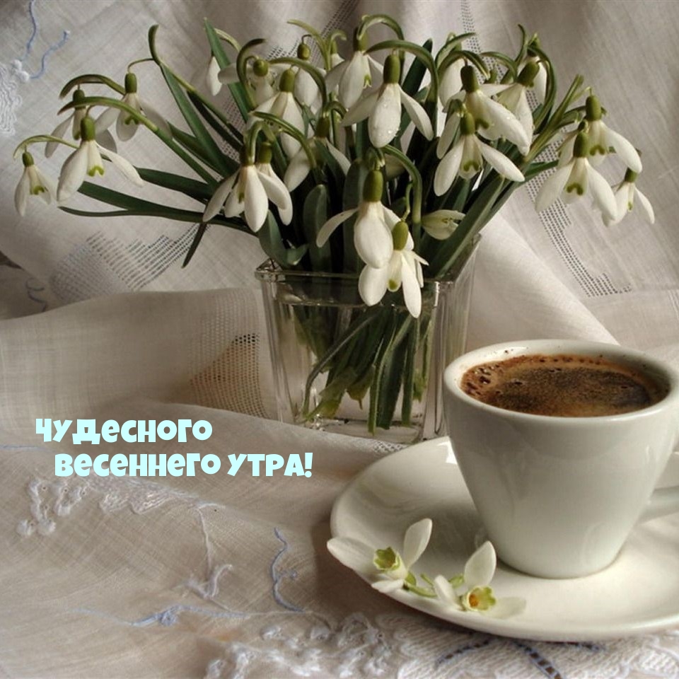 Чудесного весеннего утра!