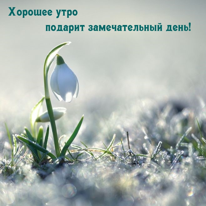 Хорошее утро подарит замечательный день!