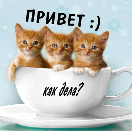 Привет, как дела?