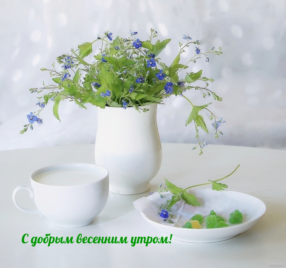 С добрым весенним утром!