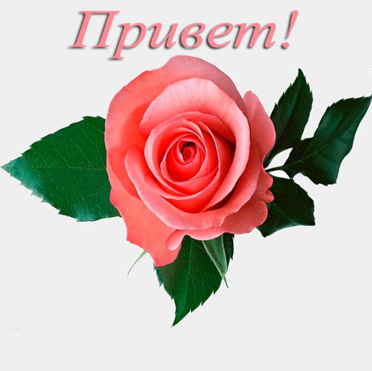 Привет!