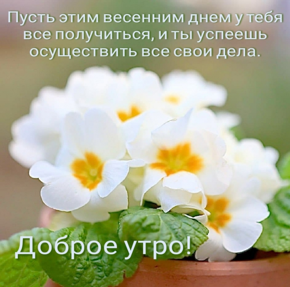 Пусть сегодня у тебя все получиться, и ты успеешь осуществить все свои дела