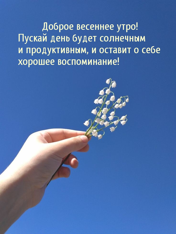 Пускай день будет солнечным  и продуктивным