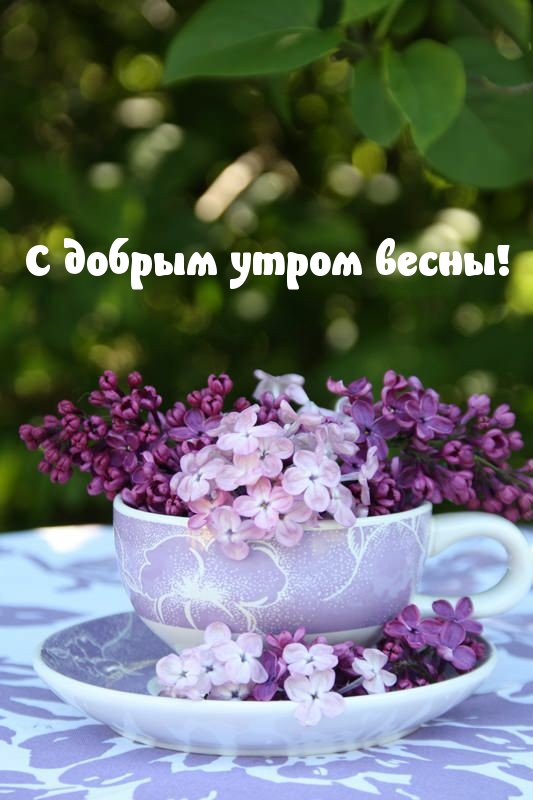 С добрым утром весны!