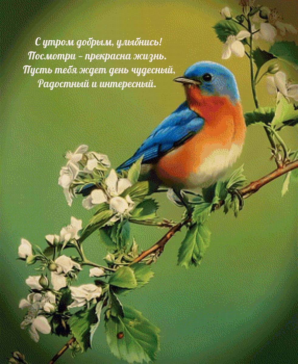 Пусть тебя ждет день чудесный, радостный и интересный.