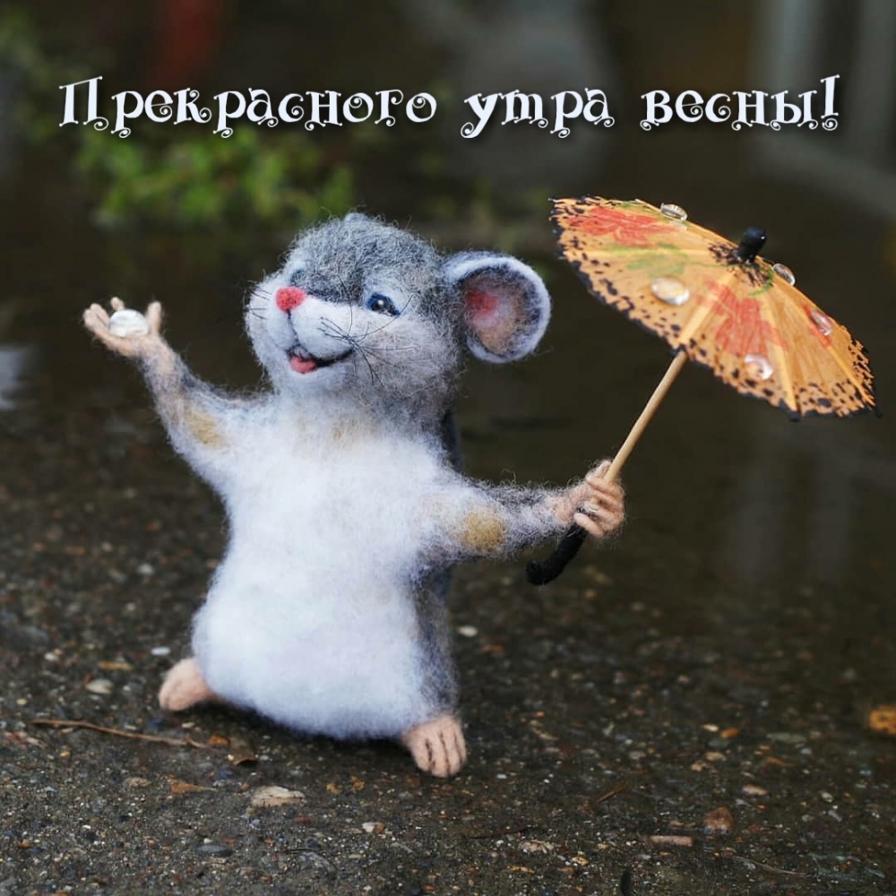 Прекрасного утра весны!