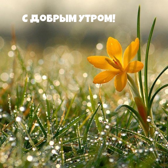 С Добрым Утром!