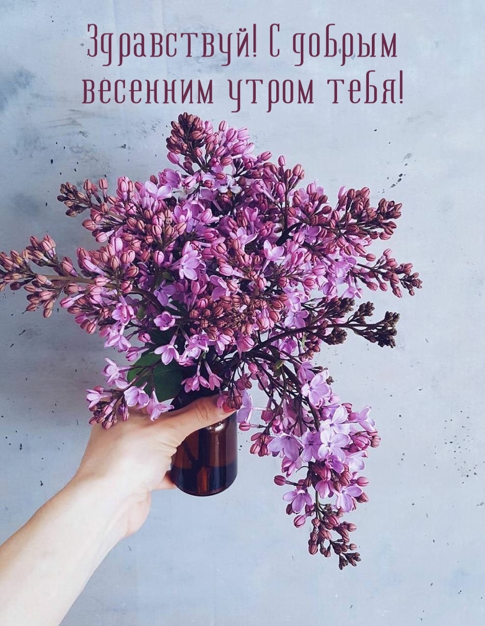 Здравствуй! С добрым весенним утром тебя!