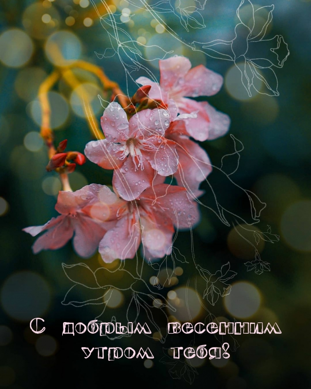 С добрым весенним утром тебя!