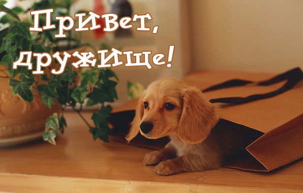 Привет дружищще!