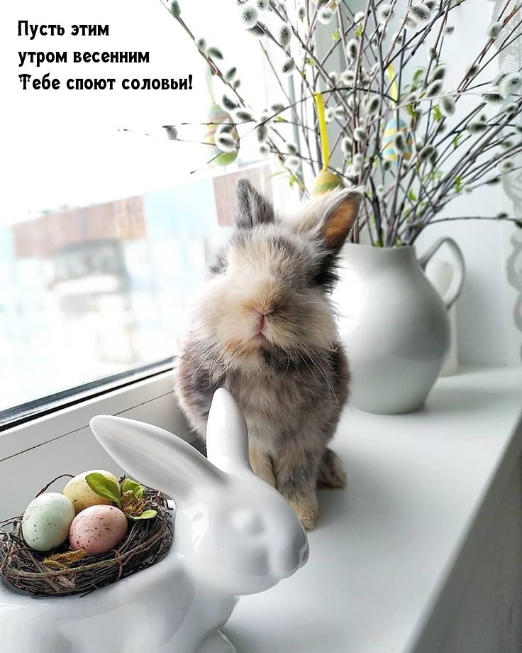 Пусть этим утром весенним Тебе споют соловьи!
