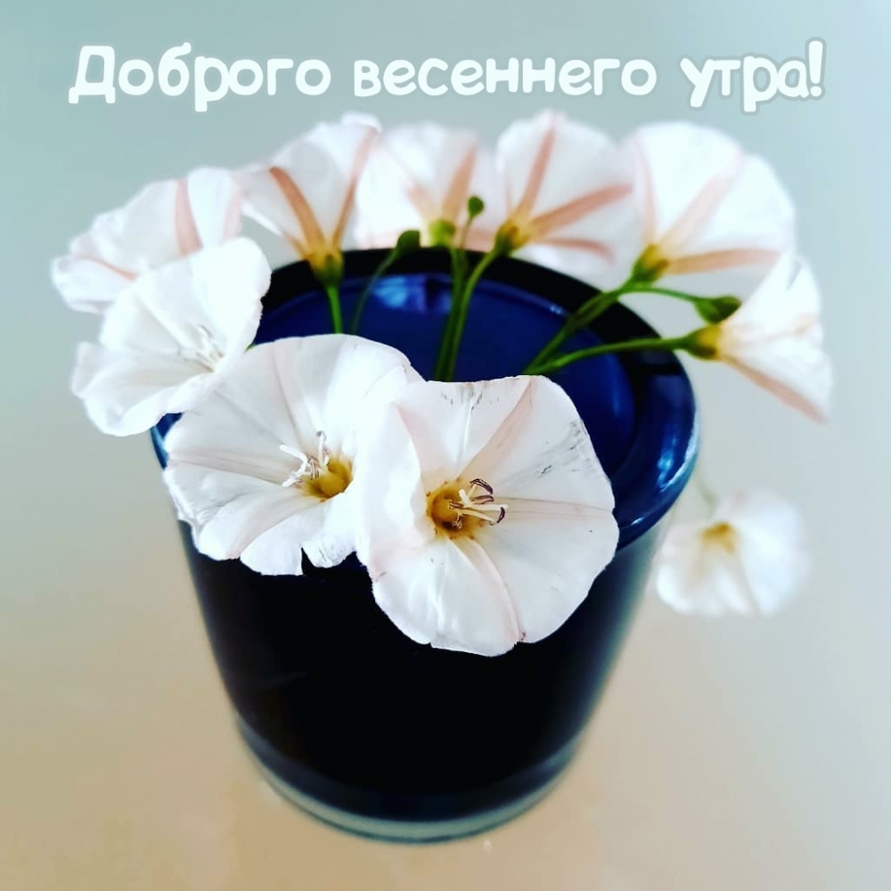 Доброго весеннего утра!