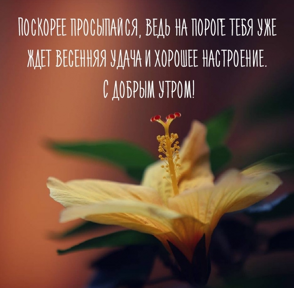Поскорее просыпайся, ведь на пороге тебя уже ждет весенняя удача