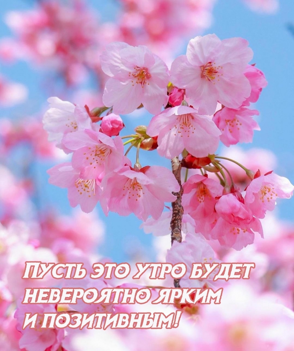 Пусть это утро будет невероятно ярким и позитивным!