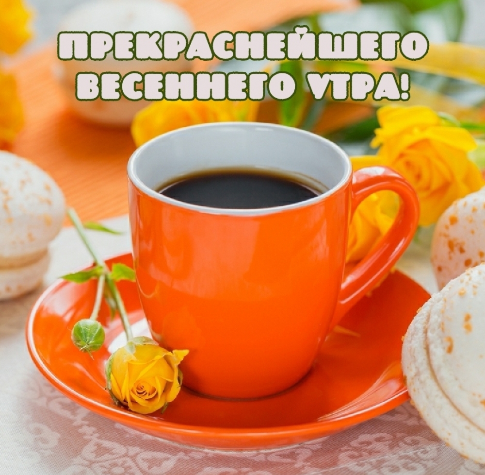 Прекраснейшего весеннего утра!