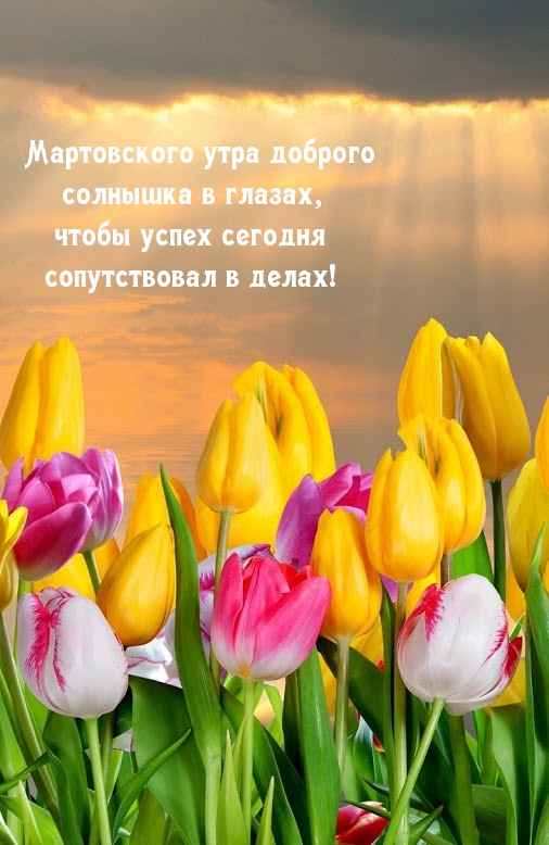 Мартовского утра доброго солнышка в глазах,