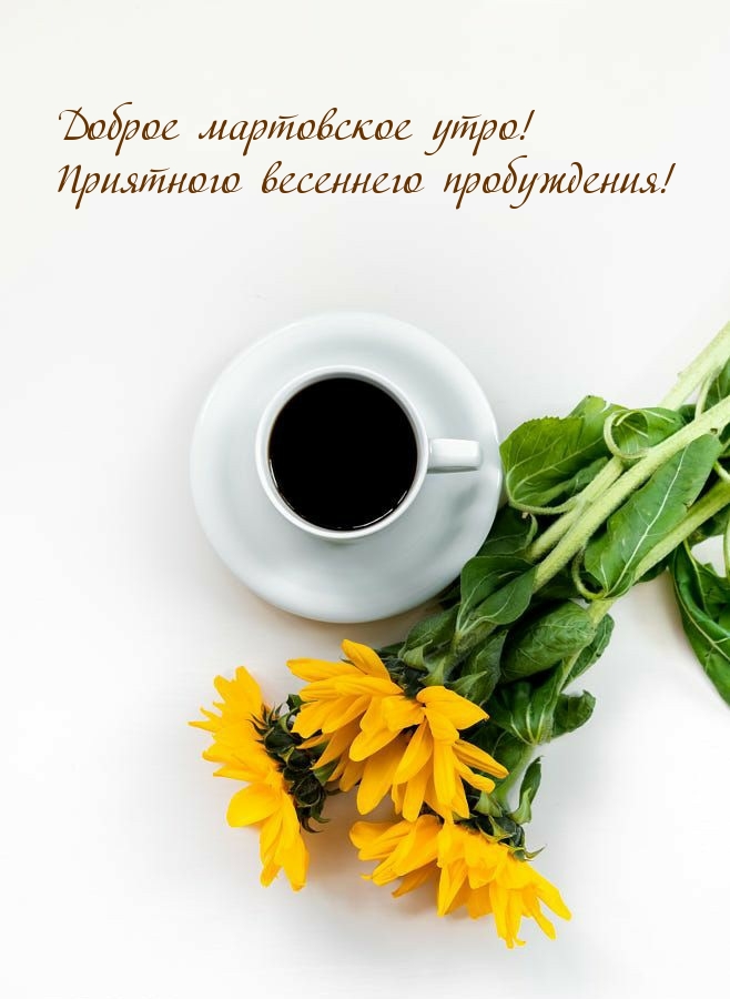 Доброе мартовское утро! Приятного весеннего пробуждения!