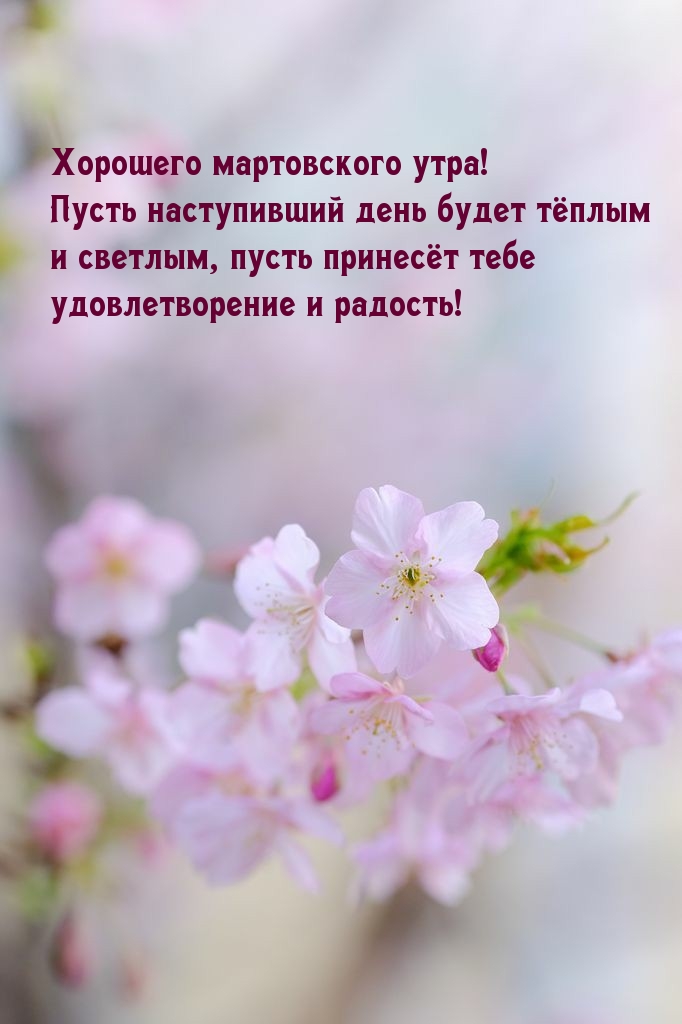 Хорошего мартовского утра! Пусть наступивший день будет тёплым