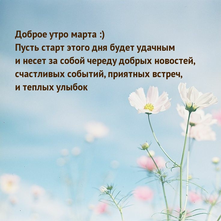 Доброе утро марта :) Пусть старт этого дня будет удачным